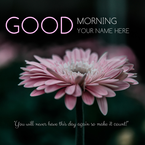 Write Name on Good Morning Elegant Whatsapp Status Pics
