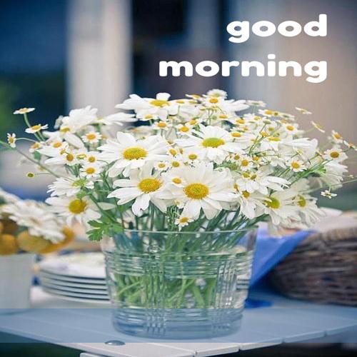 Write Your Name On Good Morning Wishes Flowers Pic