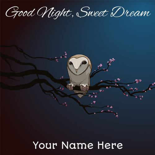 Masked Owl Good Night Sweet Dream Greeting With Name
